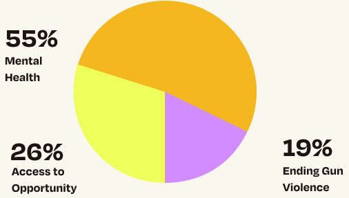 Pie chart. 55% mental health. 26% access to opportunity. 19% ending gun violence.